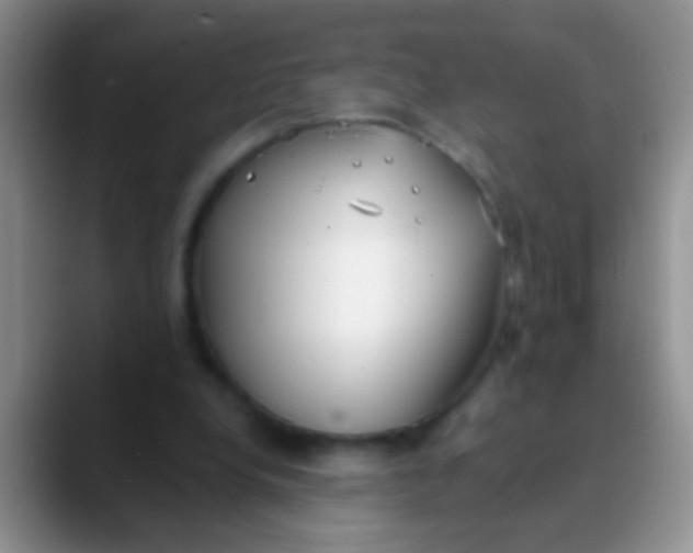 X0000089880248200707192001