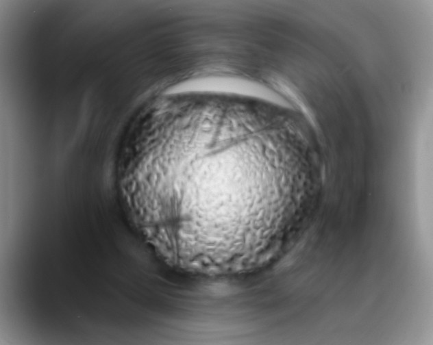 X0000089880249200707192001