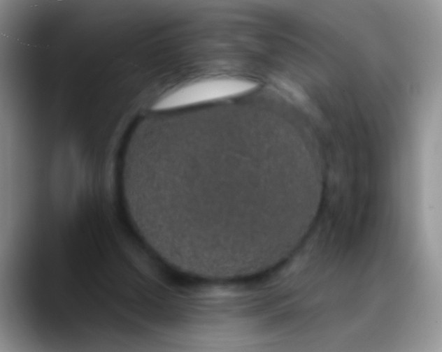 X0000089880250200707192001