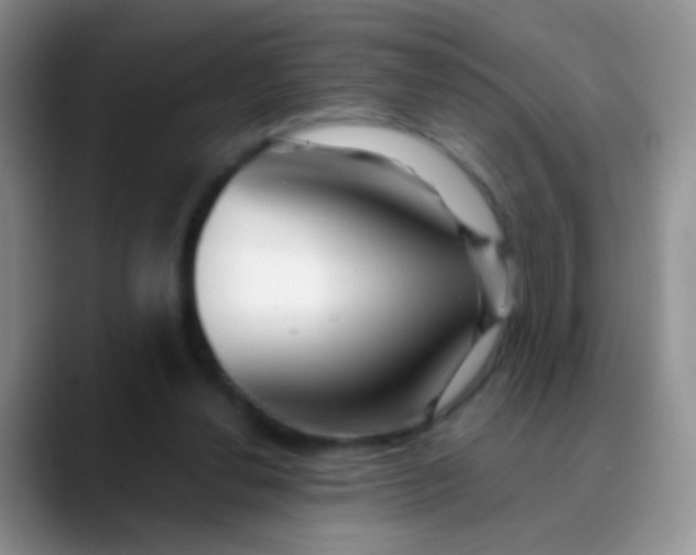 X0000089880252200707192001