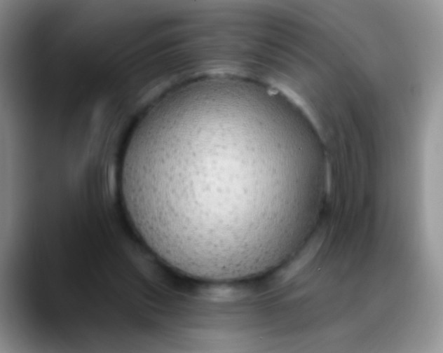 X0000089880253200707192001