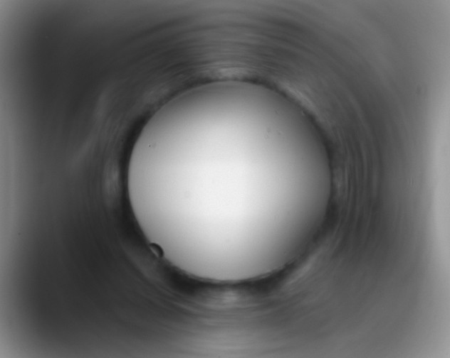 X0000089880254200707192001