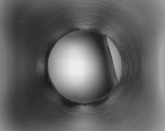 X0000089880255200707192001