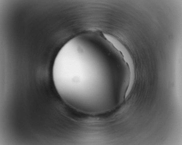 X0000089880256200707192001