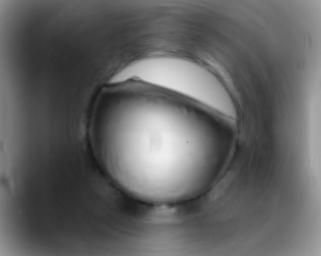 X0000089880257200707192001