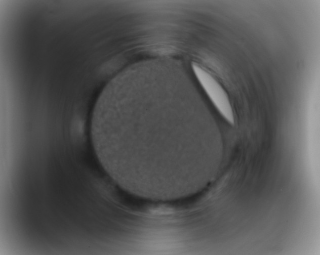 X0000089880258200707192001