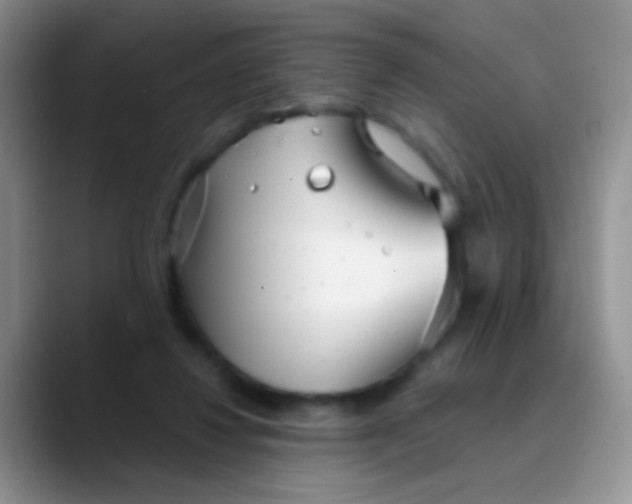 X0000089880260200707192001