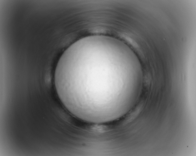 X0000089880261200707192001