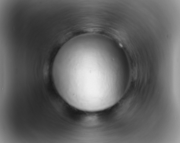 X0000089880263200707192001