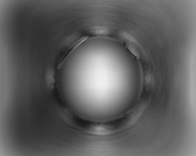 X0000089880264200707192001