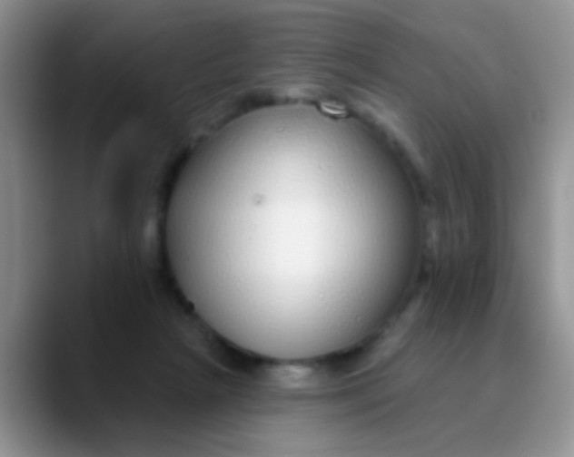 X0000089880265200707192001