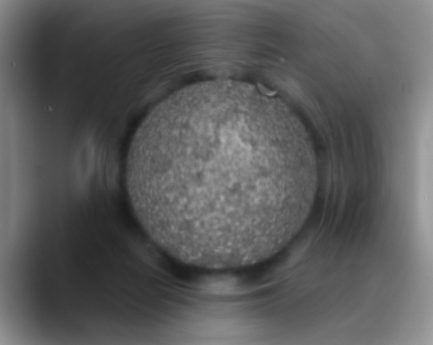 X0000089880266200707192001