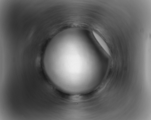 X0000089880269200707192001