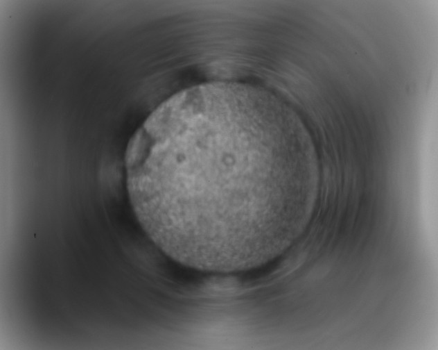 X0000089880271200707192002