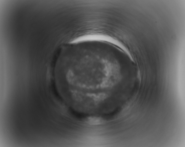 X0000089880272200707192002