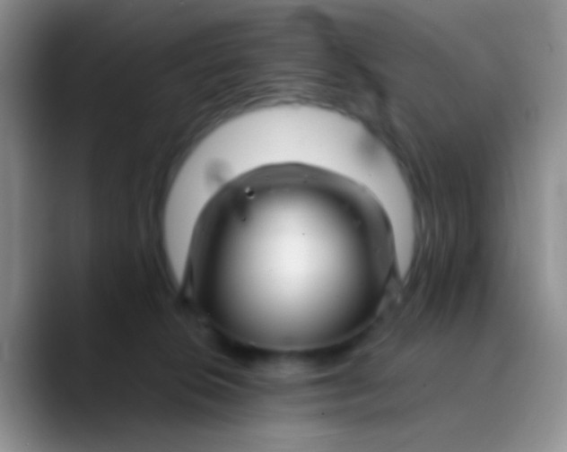 X0000089880276200707192002