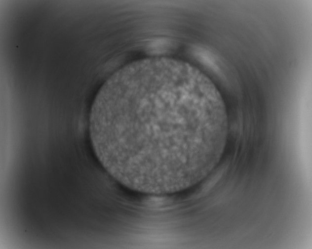 X0000089880277200707192002