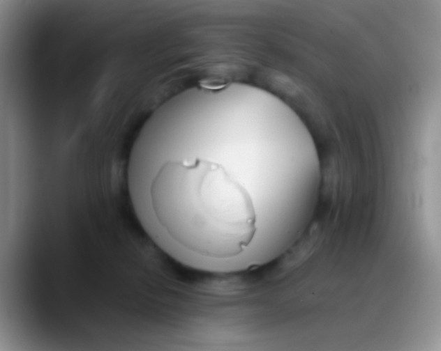 X0000089880278200707192002