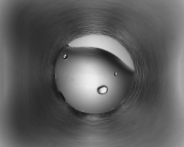 X0000089880280200707192002