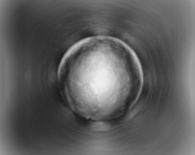 X0000089880281200707192002