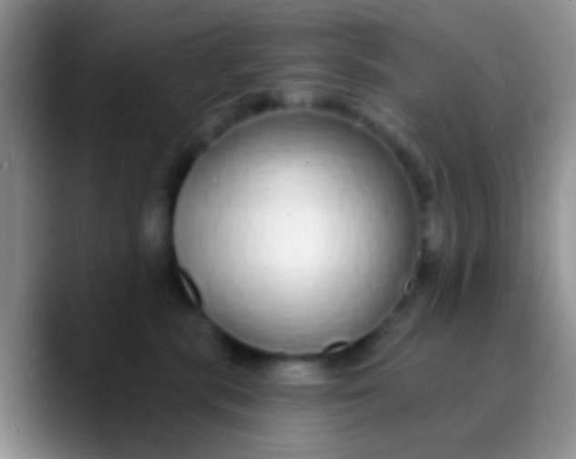 X0000089880283200707192002