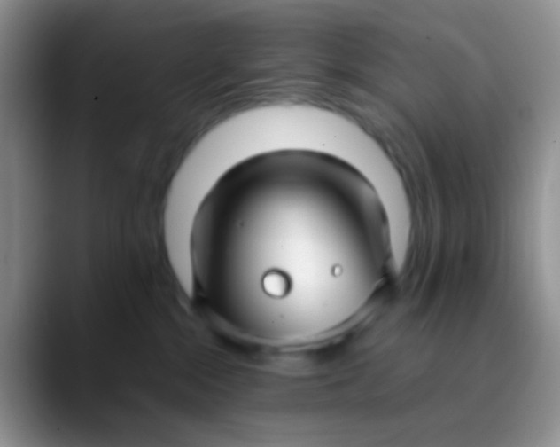 X0000089880284200707192002