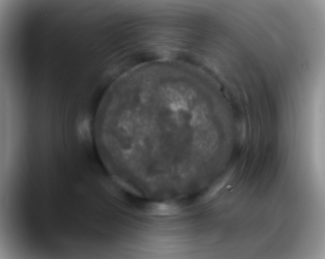 X0000089880286200707192002