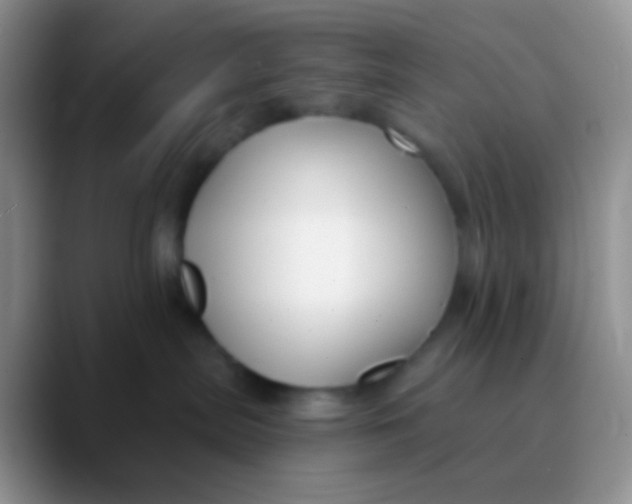 X0000089880287200707192002