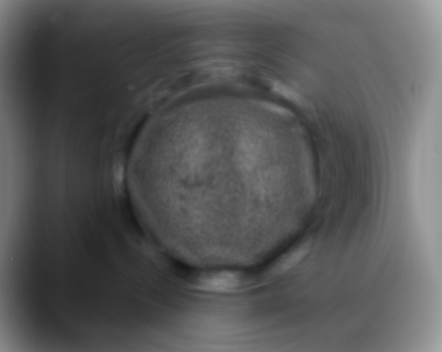 X0000089880288200707192002