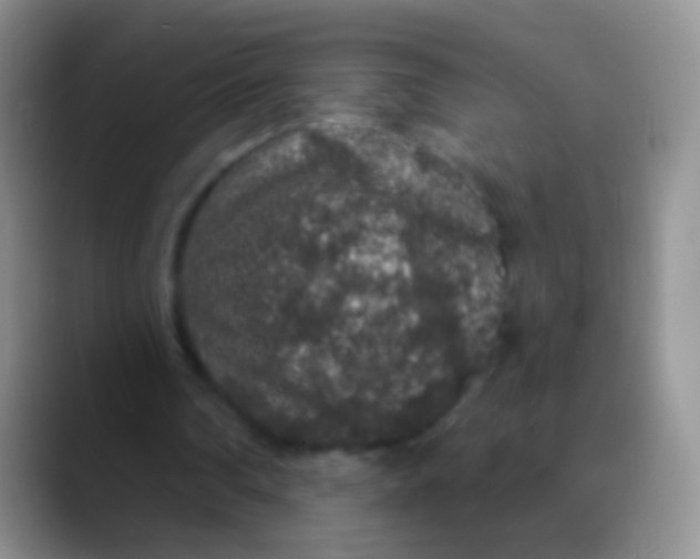 X0000089880290200707192001