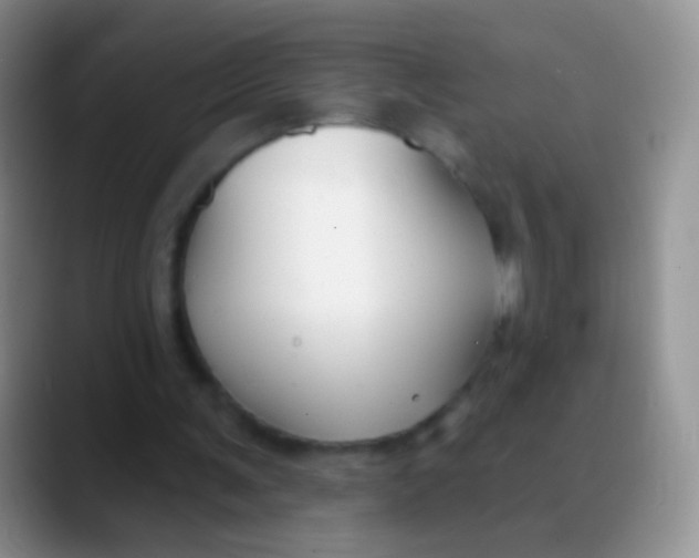 X0000089880291200707192001