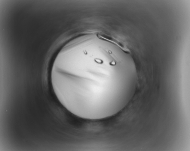 X0000089880296200707192001