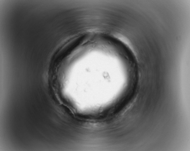 X0000089880297200707192001