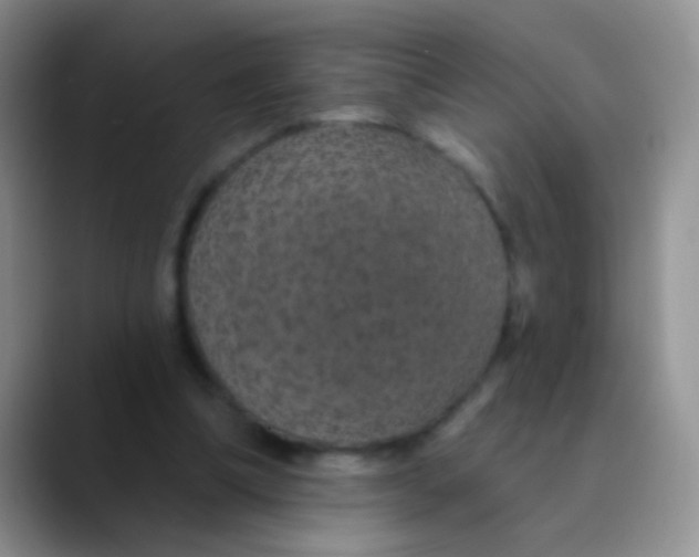 X0000089880298200707192001