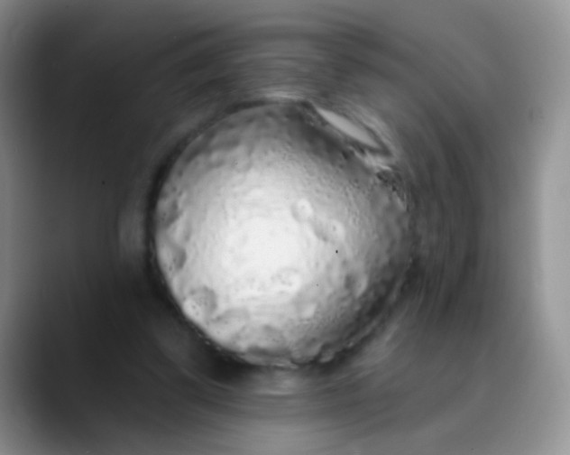 X0000089880299200707192001