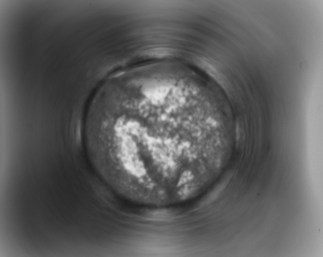 X0000089880301200707192001