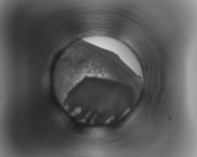 X0000089880303200707192001