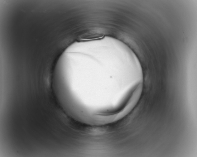 X0000089880305200707192001