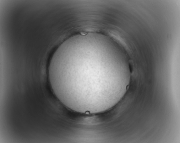 X0000089880306200707192001