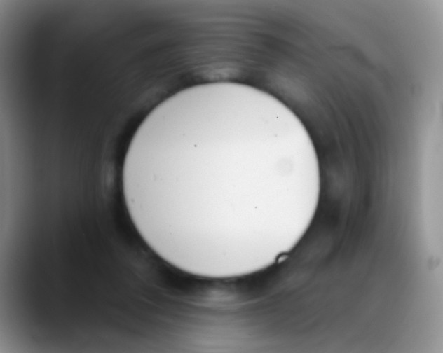 X0000089880308200707192001