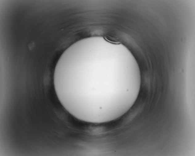 X0000089880311200707192001