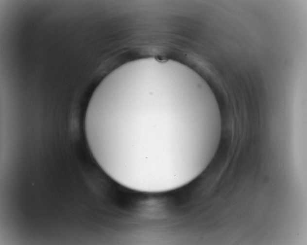 X0000089880312200707192001