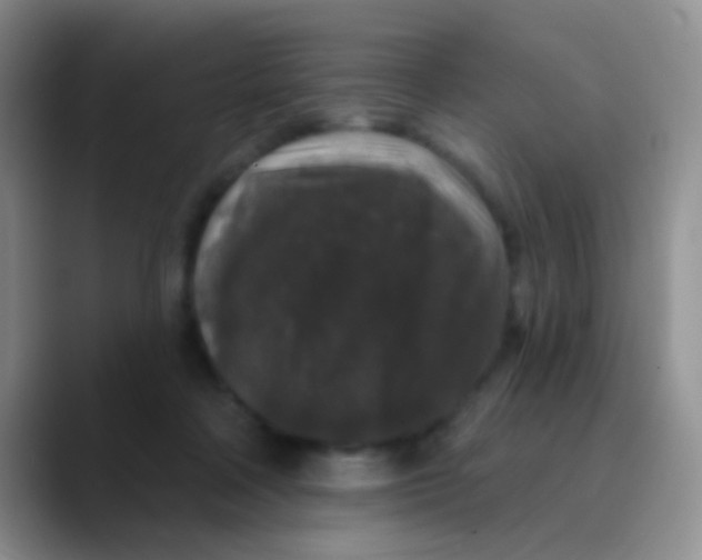 X0000089880314200707192001