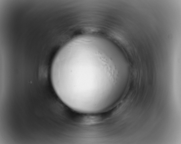 X0000089880315200707192001