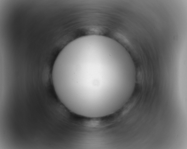 X0000089880318200707192001