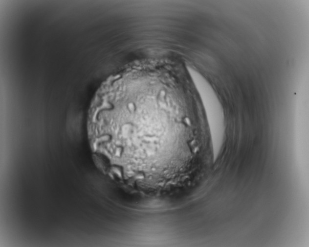 X0000089880319200707192001