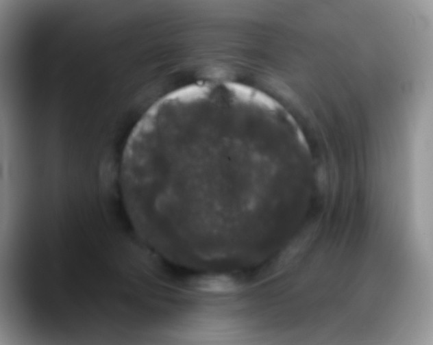 X0000089880322200707192001