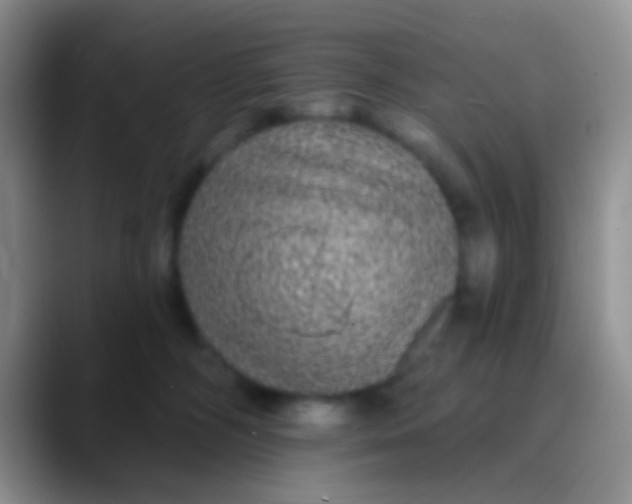 X0000089880326200707192001