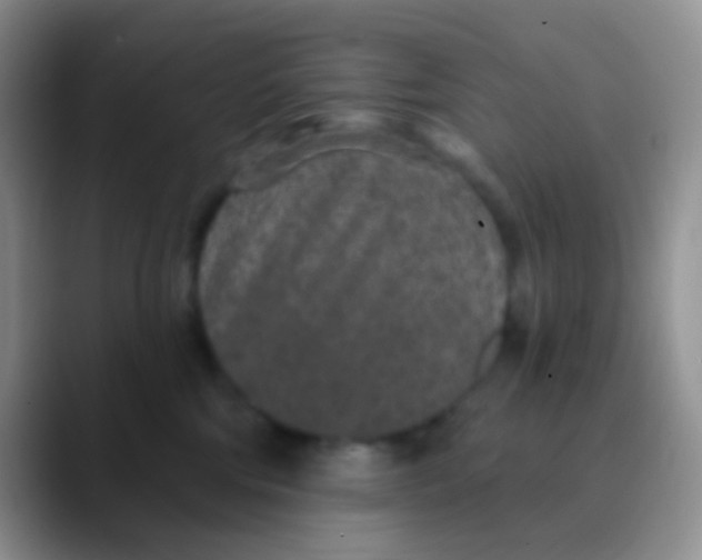 X0000089880330200707192001