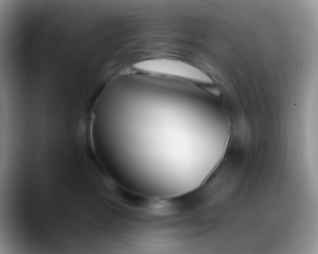 X0000089880333200707192001